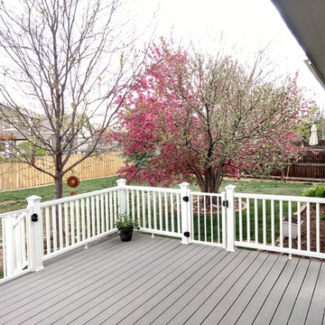 Trex Railing, Gates, and LED Post Cap Lighting