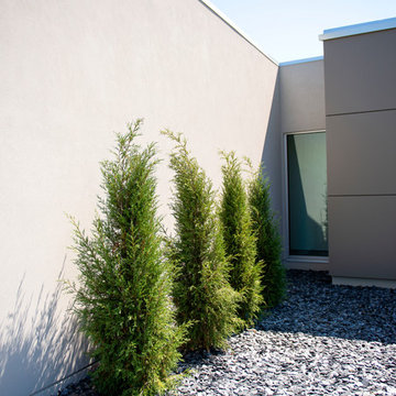 Modern Front Yard Landscape - Racine