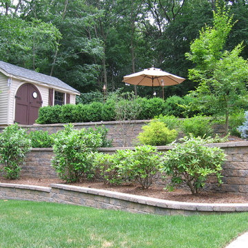 Pool Deck & Oasis