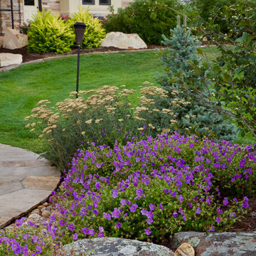 Plant Combinations