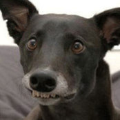 Don Phillips's photo
