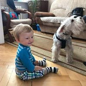 Mark Wootton's photo