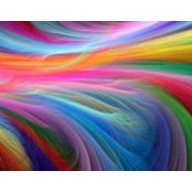 Stephanie Bouchereau Anaya's photo