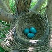 Linda Constantine's photo