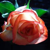 Becca Schaberg's photo