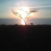 Marie Rivera's photo