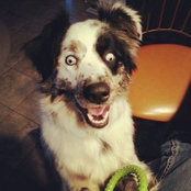 Keith Derington's photo