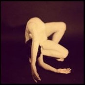 Lily Jahnさんの写真