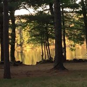 Joan Rossi's photo