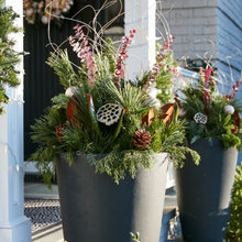 Landscape Ideas