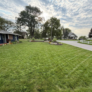 New Seeding & Berm