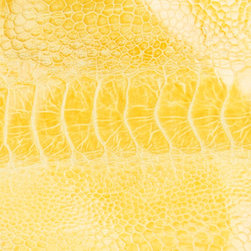 Citron - 50 other colours or customize your own - Furniture