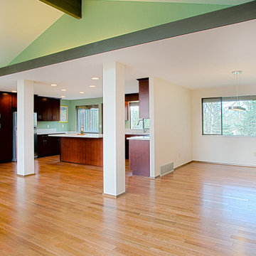 Kent Split Level Whole House Remodel