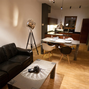 ドレスデンの中サイズのコンテンポラリースタイルのLDKの画像 (白い壁、淡色無垢フローリング、暖炉なし)