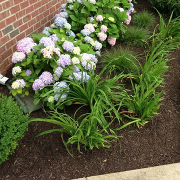 Landscaping Maintenance