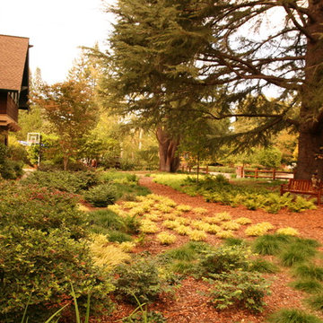 Tapestry lawn in Portola Valley