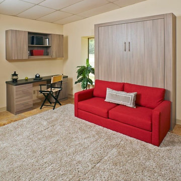 SOFA AND MURPHY BED