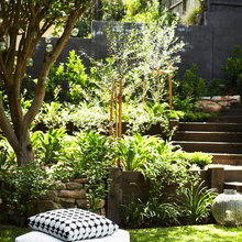 Garden inspo
