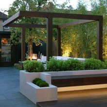 Fence/Pergola