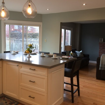 30+ Year Old Kitchen Renovation