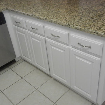 Tampa Area Kitchen Cabinet Refacing Project - January 2014