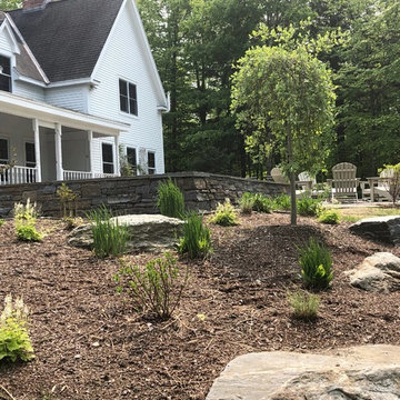 Re-purposed plantings from prior garden