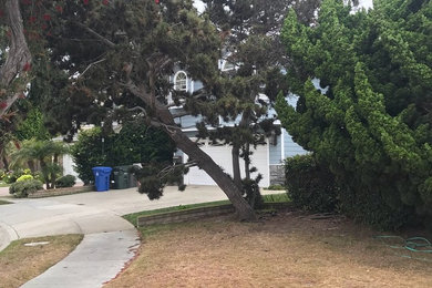 Photo of a modern landscaping in Los Angeles.
