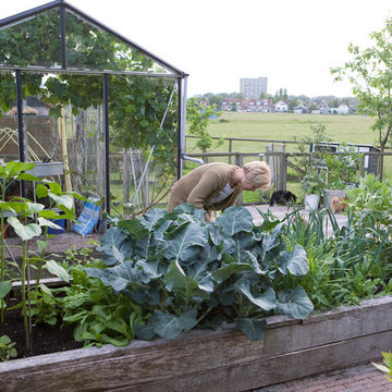 Urban vegetable garden in the polder
