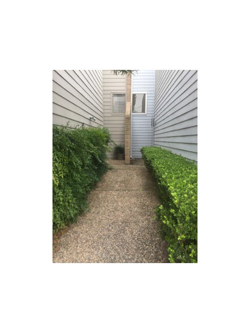 Help Curb Appeal Ideas Needed For Urban Townhome
