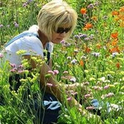 Monica Highmarkさんの写真