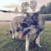 Danielle Johnson's photo