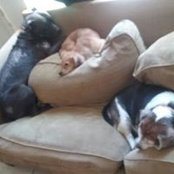 Melissa Amaro's photo