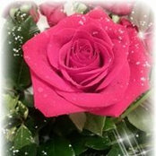 Elaine Colon-Nance's photo