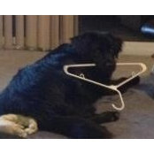 Foto von Nancy Fugate