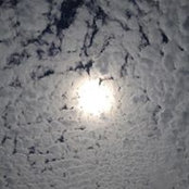 Mara King's photo