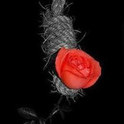 Ameera Ahmed's photo