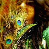 Prasoon Chauhan's photo
