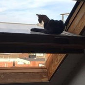 Foto von Nora Ana