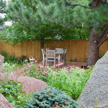 Plant Combinations