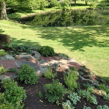 Japanese Rock Garden Infusion