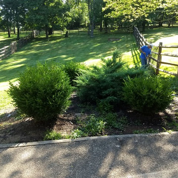 Before