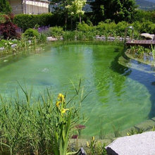 Garten Pool