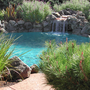 Lagoon Styles Pools and Features