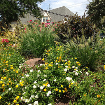 Privacy Berm Landscape Bed