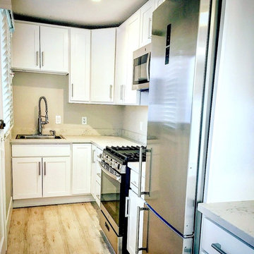Kitchen Remodel/Renovation