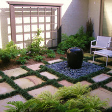 Back side yard