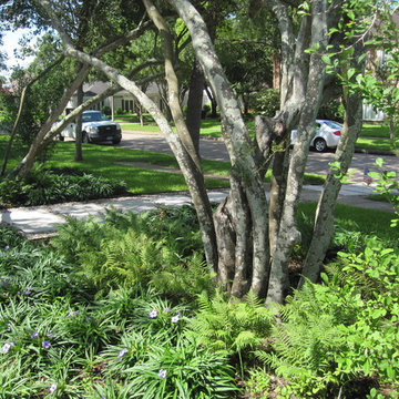 Mid-century modern in Meyerland
