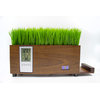 4-Port USB Charging Station with LCD Clock and Lifelike Grass, Natural Finis