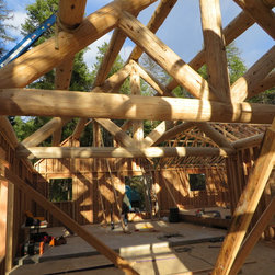 Framed House with Log Roof - Building Materials