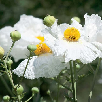 2018 Native Plant Garden Tour